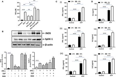 Sphingosine-1-Phosphate (S-1P) Promotes Differentiation of Naive Macrophages and Enhances Protective Immunity Against Mycobacterium tuberculosis